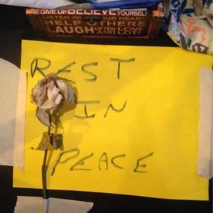 Meet your Posher, Linda